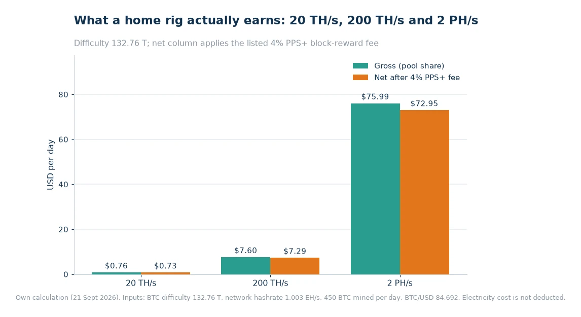 Bar chart of gross and net daily USD income at 20 TH/s, 200 TH/s and 2 PH/s